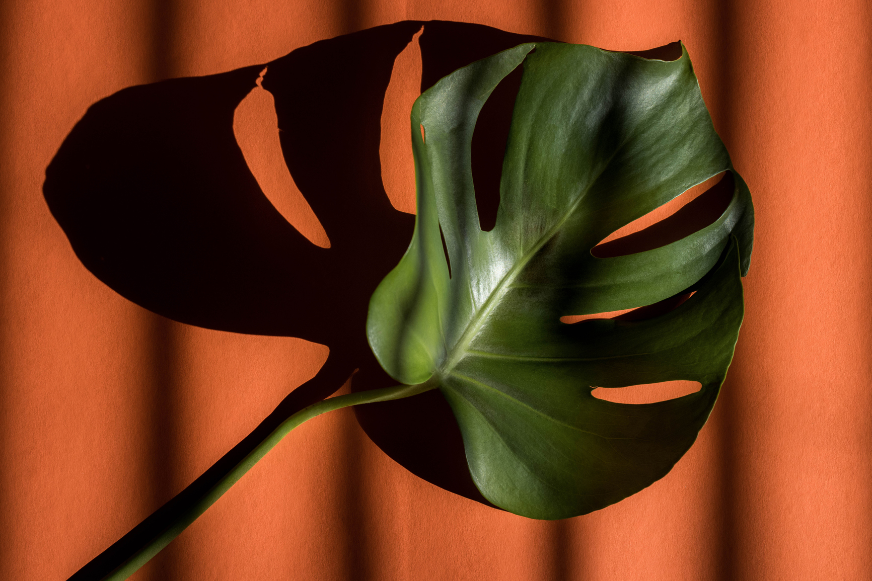 partner - crm-service